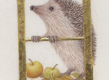 H for Hedgehog,  on vellum