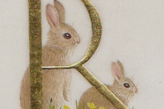 R for Rabbits,  on vellum