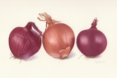 Onions