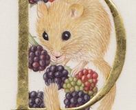 D for Dormouse