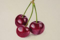 Cherries on vellum